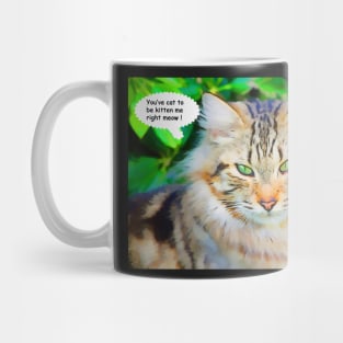 You've Cat to be Kitten Me Right Meow Mug